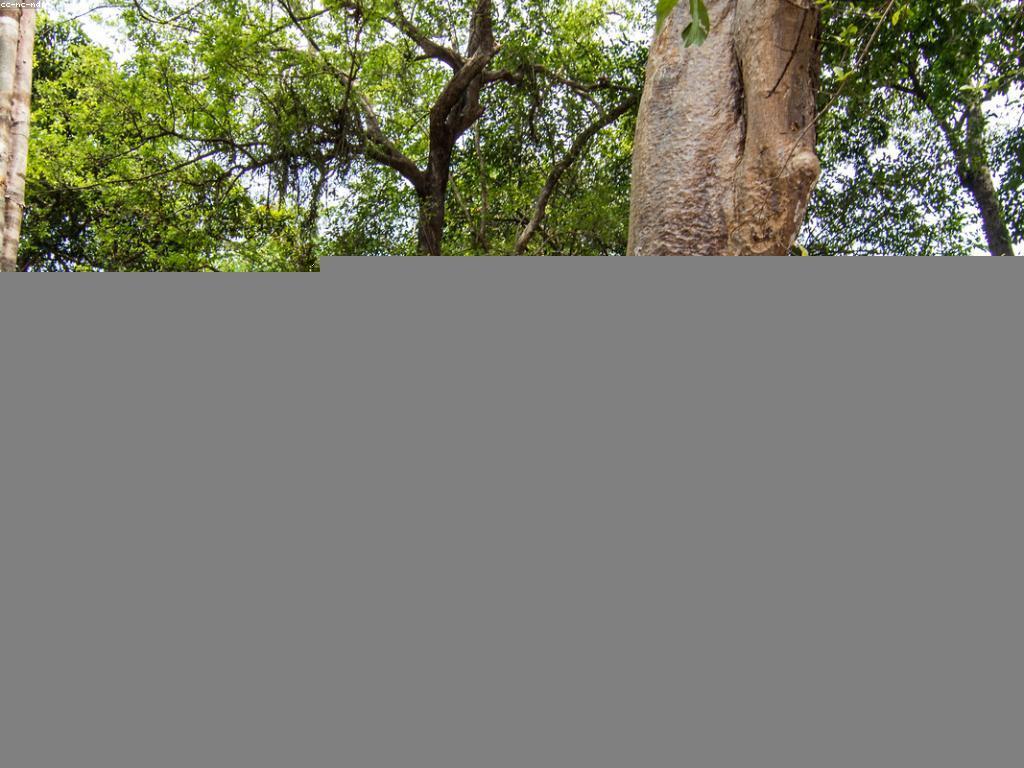 ព័ត៌មានលម្អិតអំពីប្រទេសកម្ពុជា